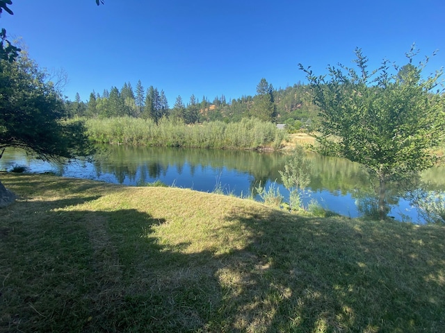 61 Chief George, Lewiston, CA 96052 - photo 12