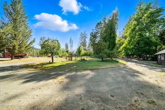 61 Chief George, Lewiston, CA 96052 - photo 23