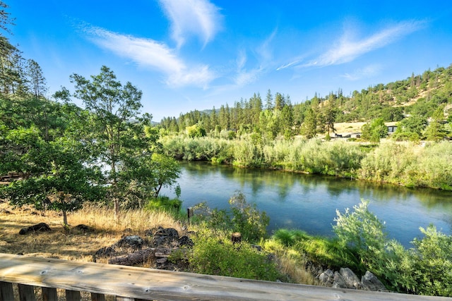 61 Chief George, Lewiston, CA 96052 - photo 54