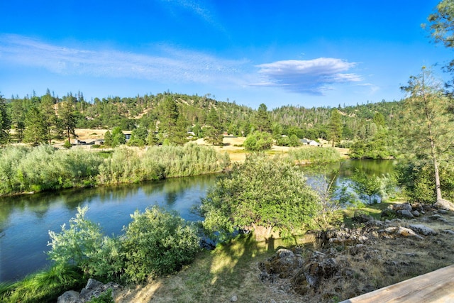 61 Chief George, Lewiston, CA 96052 - photo 55
