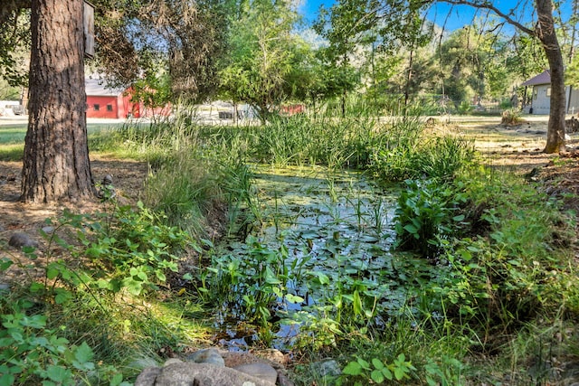 61 Chief George, Lewiston, CA 96052 - photo 63