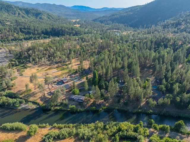61 Chief George, Lewiston, CA 96052 - photo 76