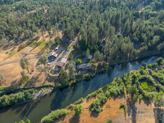 61 Chief George, Lewiston, CA 96052 - photo 78