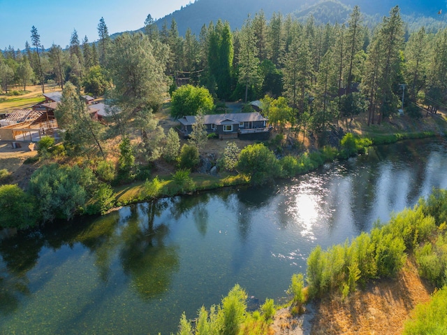 61 Chief George, Lewiston, CA 96052 - photo 81