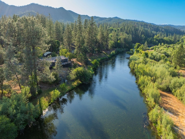 61 Chief George, Lewiston, CA 96052 - photo 83