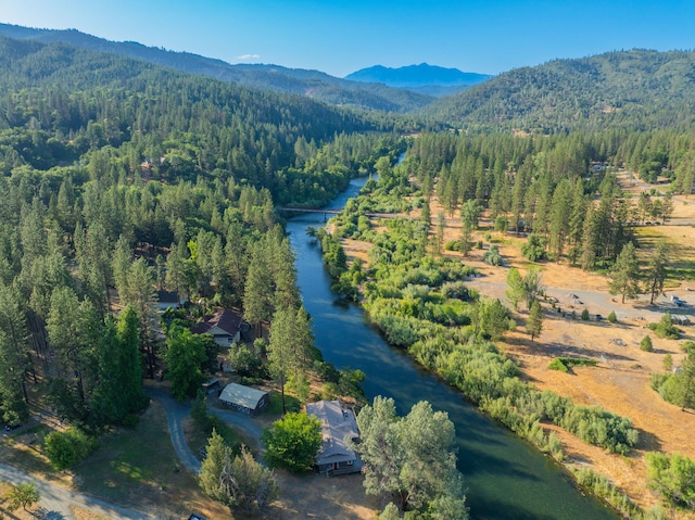 61 Chief George, Lewiston, CA 96052 - photo 84