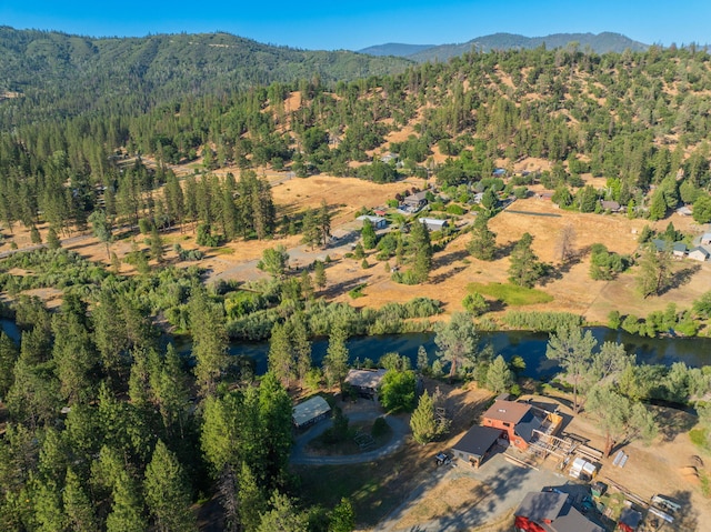 61 Chief George, Lewiston, CA 96052 - photo 86