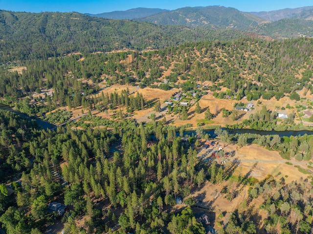 61 Chief George, Lewiston, CA 96052 - photo 88