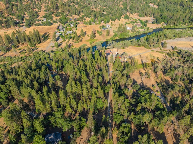 61 Chief George, Lewiston, CA 96052 - photo 89