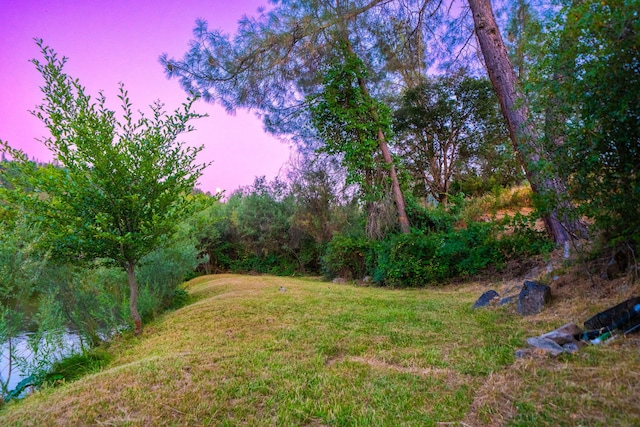 61 Chief George, Lewiston, CA 96052 - photo 105