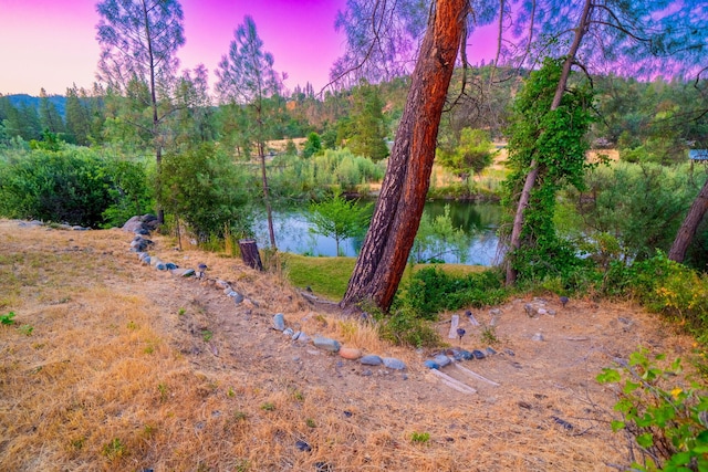 61 Chief George, Lewiston, CA 96052 - photo 111