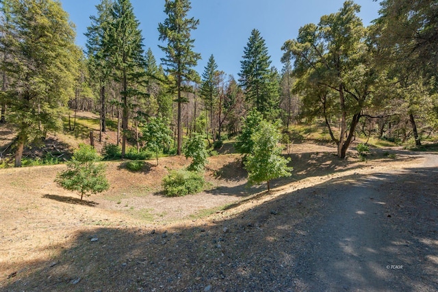 1004 Friedrich Rd, Burnt Ranch, CA 95527 - photo 3