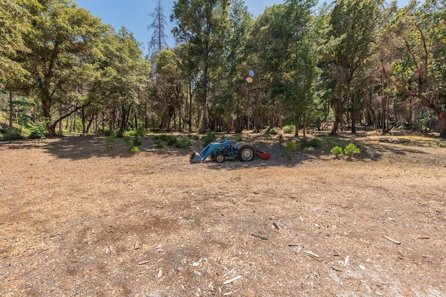 1004 Friedrich Rd, Burnt Ranch, CA 95527 - photo 28