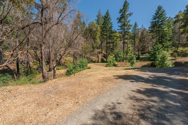 1004 Friedrich Rd, Burnt Ranch, CA 95527 - photo 30
