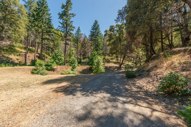 1004 Friedrich Rd, Burnt Ranch, CA 95527 - photo 32
