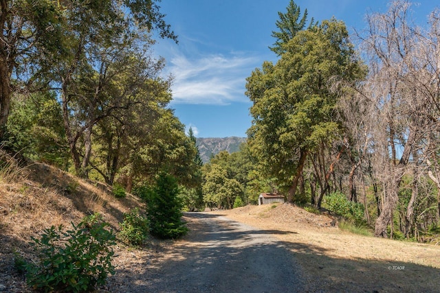 1004 Friedrich Rd, Burnt Ranch, CA 95527 - photo 33