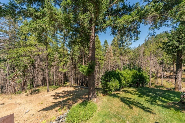 1004 Friedrich Rd, Burnt Ranch, CA 95527 - photo 40