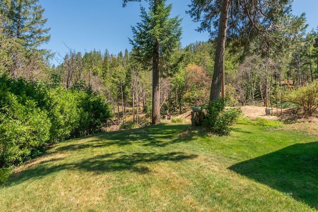 1004 Friedrich Rd, Burnt Ranch, CA 95527 - photo 48