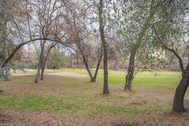 13335 Tierra Heights Rd, Redding, CA 96003 - photo 36