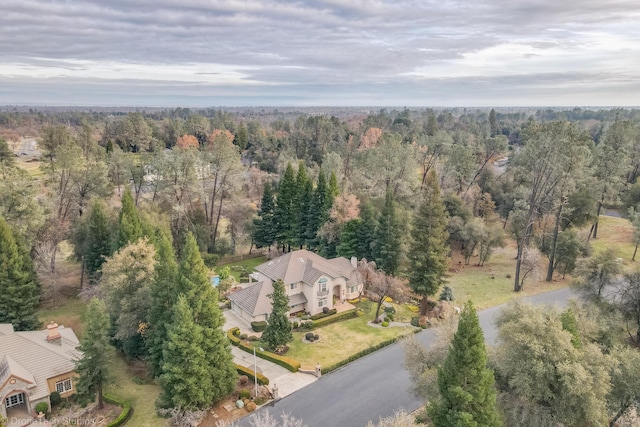 13335 Tierra Heights Rd, Redding, CA 96003 - photo 80