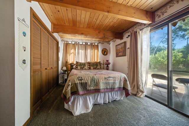 12755 Clearbrook Dr, Old Station, CA 96071 - photo 9