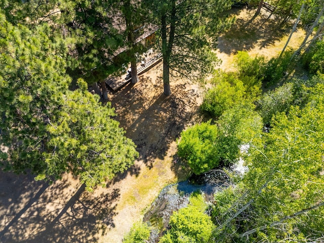 12755 Clearbrook Dr, Old Station, CA 96071 - photo 21
