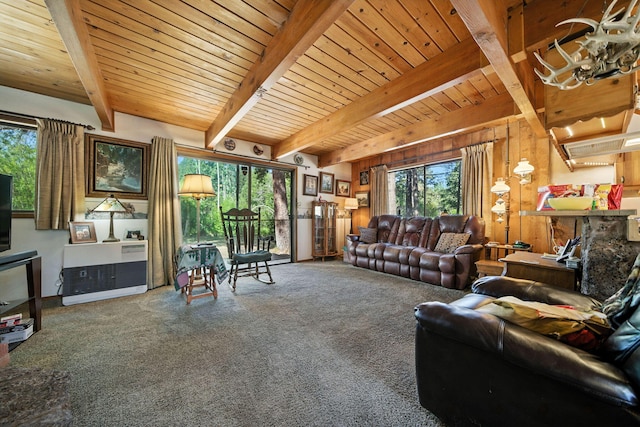 12755 Clearbrook Dr, Old Station, CA 96071 - photo 4