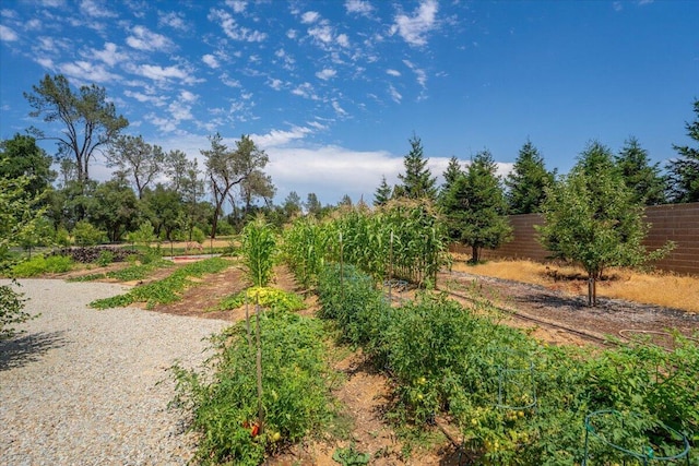 19580 Mockingbird Ln, Redding, CA 96002 - view of yard featuring a rural view