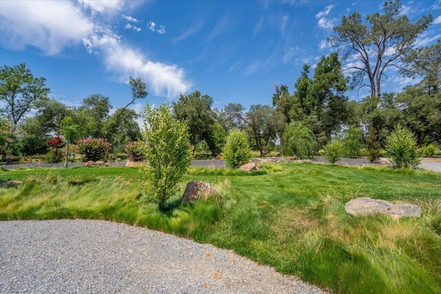 19580 Mockingbird Ln, Redding, CA 96002 - view of yard