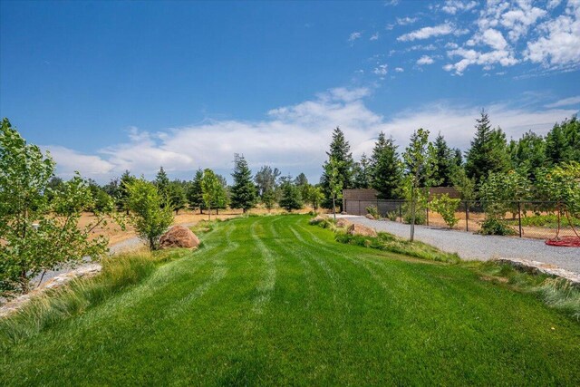 19580 Mockingbird Ln, Redding, CA 96002 - view of yard