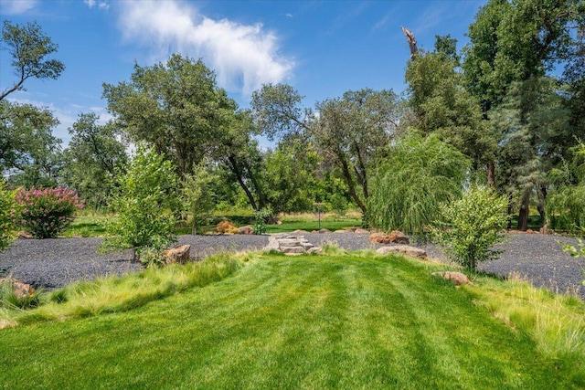 19580 Mockingbird Ln, Redding, CA 96002 - view of grassy yard