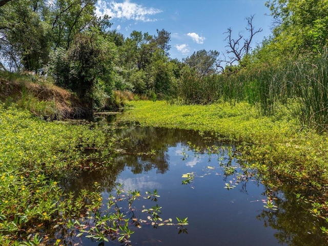 19580 Mockingbird Ln, Redding, CA 96002 - water view with a forest