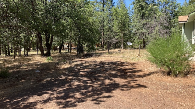 770 Day Rd, Mcarthur, CA 96056 - view of street