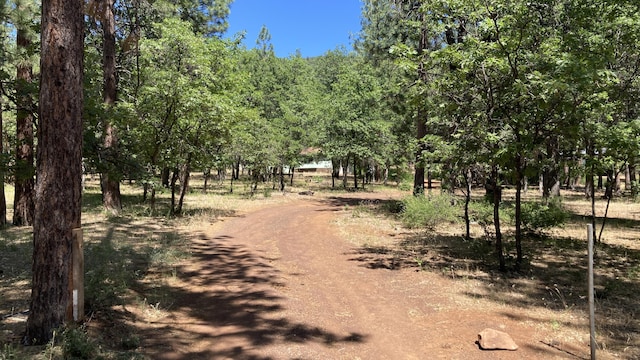 770 Day Rd, Mcarthur, CA 96056 - view of street