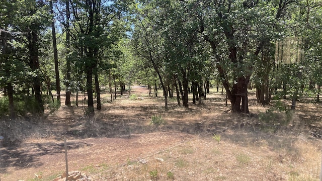 770 Day Rd, Mcarthur, CA 96056 - view of local wilderness