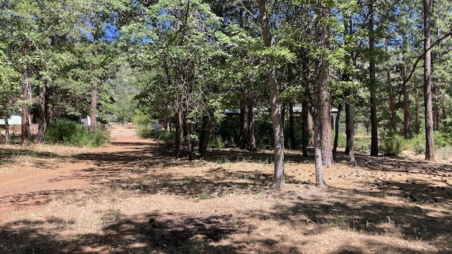 770 Day Rd, Mcarthur, CA 96056 - view of nature