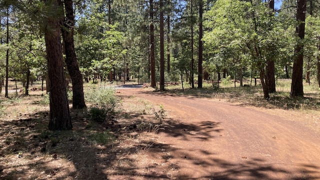 770 Day Rd, Mcarthur, CA 96056 - view of dirt / gravel road with a view of trees