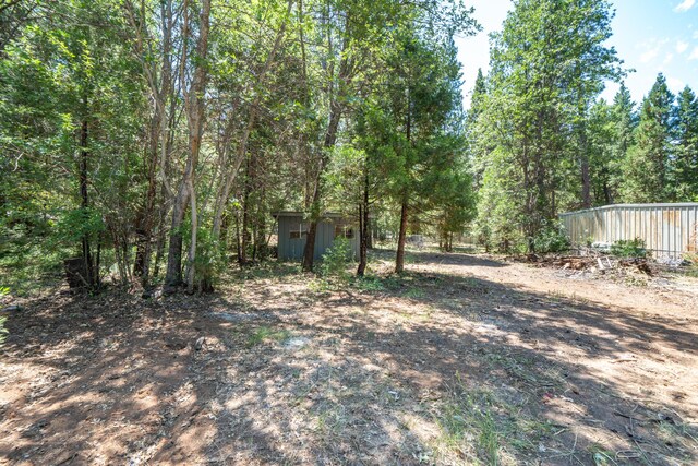 37347 Cypress Ave, Burney, CA 96013 - view of yard featuring a storage shed and a forest view