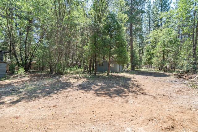 37347 Cypress Ave, Burney, CA 96013 - view of yard with a storage shed