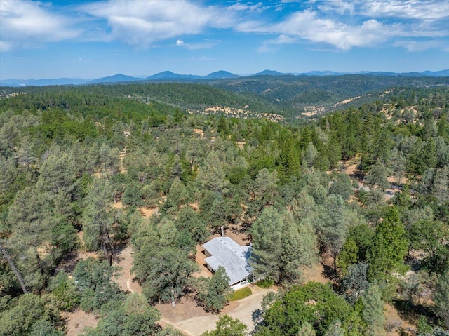 16271 Buzzard Roost Rd, Round Mountain, CA 96084 - photo 3