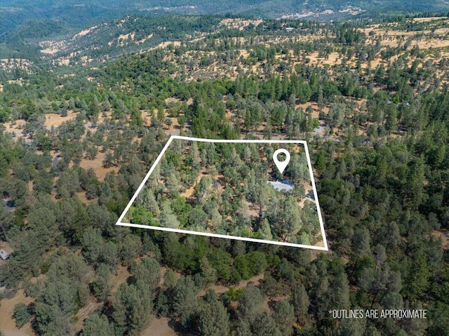 16271 Buzzard Roost Rd, Round Mountain, CA 96084 - photo 4