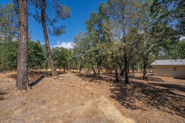 16271 Buzzard Roost Rd, Round Mountain, CA 96084 - photo 34
