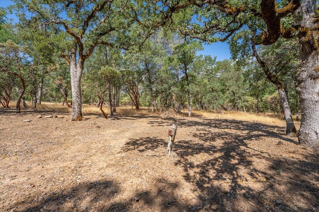 16271 Buzzard Roost Rd, Round Mountain, CA 96084 - photo 39