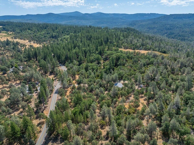 16271 Buzzard Roost Rd, Round Mountain, CA 96084 - photo 43