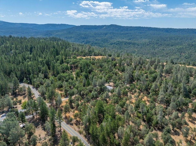 16271 Buzzard Roost Rd, Round Mountain, CA 96084 - photo 44