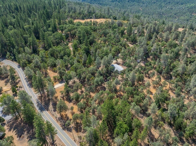 16271 Buzzard Roost Rd, Round Mountain, CA 96084 - photo 45
