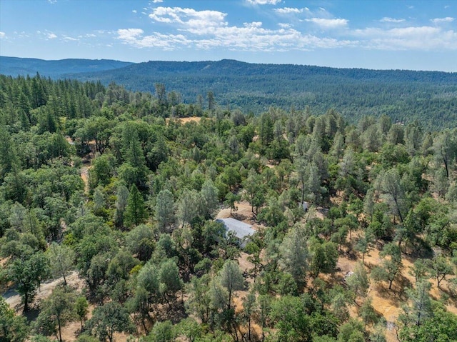 16271 Buzzard Roost Rd, Round Mountain, CA 96084 - photo 46