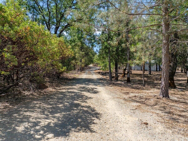 16271 Buzzard Roost Rd, Round Mountain, CA 96084 - photo 47
