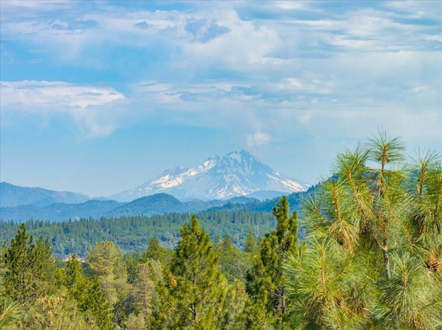 16271 Buzzard Roost Rd, Round Mountain, CA 96084 - photo 48