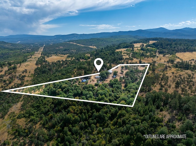 16450 Buzzard Roost Rd, Round Mountain, CA 96084 - photo 52